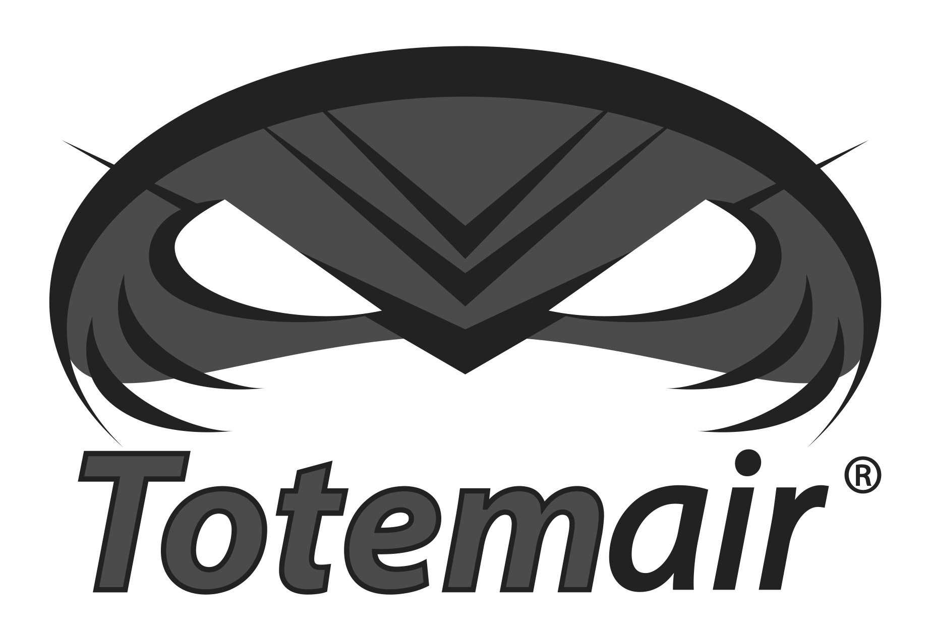 Totem Air